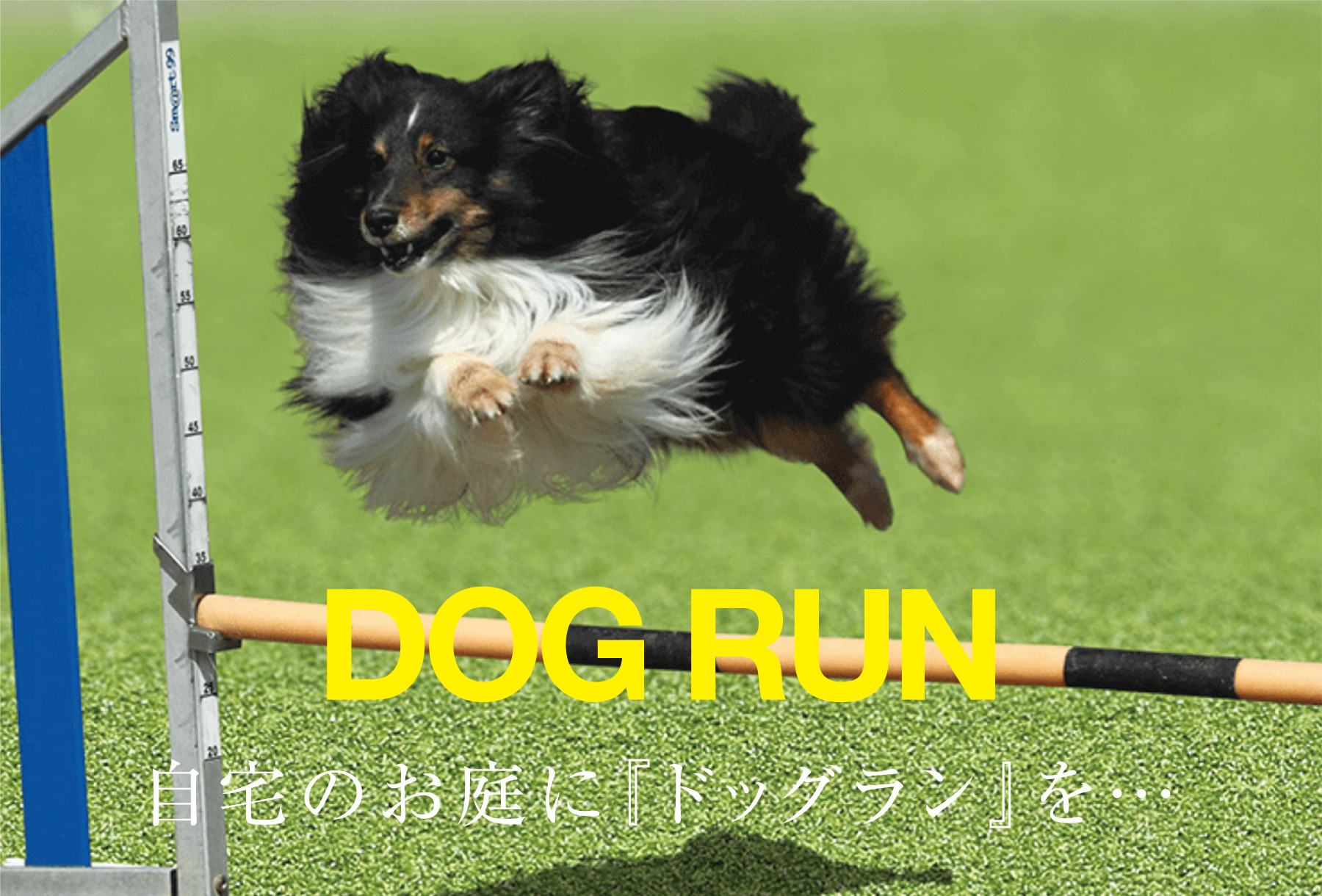 自宅のお庭に『ドッグラン』を…